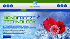 What Nano-freeze.com website looked like in 2022 (2 years ago)